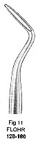 Flohr Root Elevator